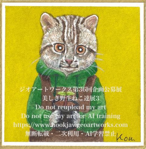 美しき野生ねこ達展3作家紹介 - KEI KIMURA ALASKA WILDLIFEART