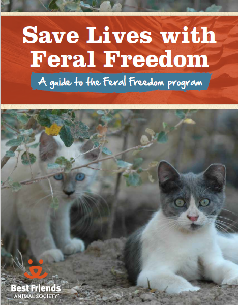 Feral Freedom(38)　ステップ6：Feral Freedomの実現に向けて