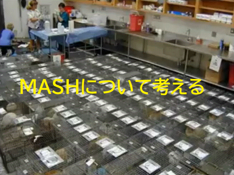 MASHの会場設営
