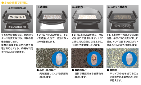 撮影画像