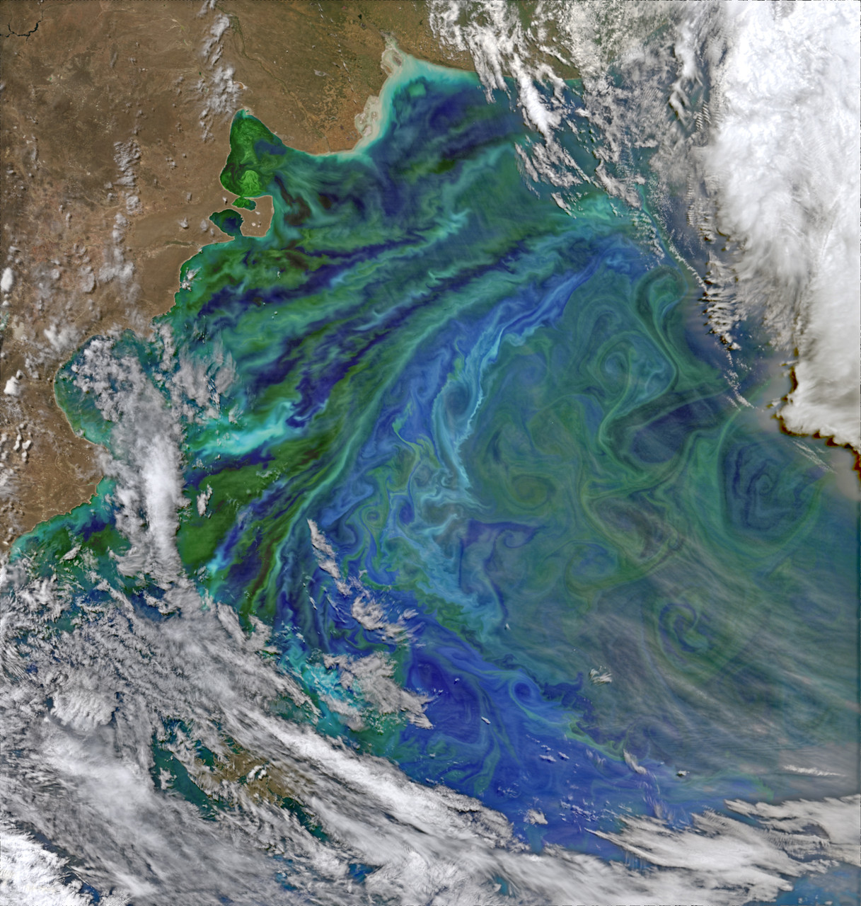 The Visible Infrared Imaging Radiometer Suite (VIIRS) on Suomi NPP captured this false-color view of phytoplankton-rich waters off of Argentina on December 2, 2014 - NASA gallery