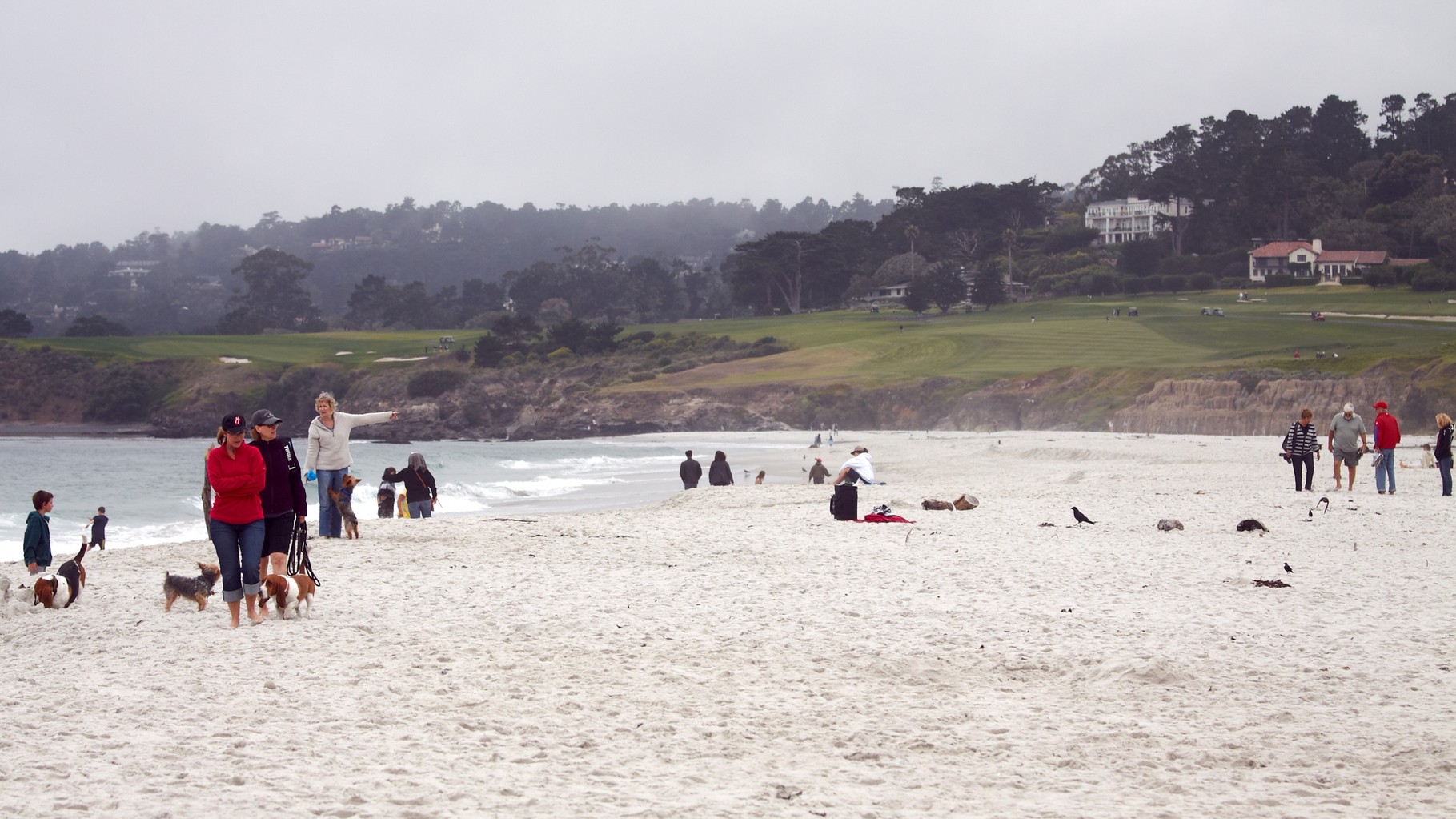 In "Tatort Zirkus" befindet sich in Carmel by the Sea, eine Kleinstadt südlich von San Francisco, das Hauptquartier von Zirkusdirektor Winkler