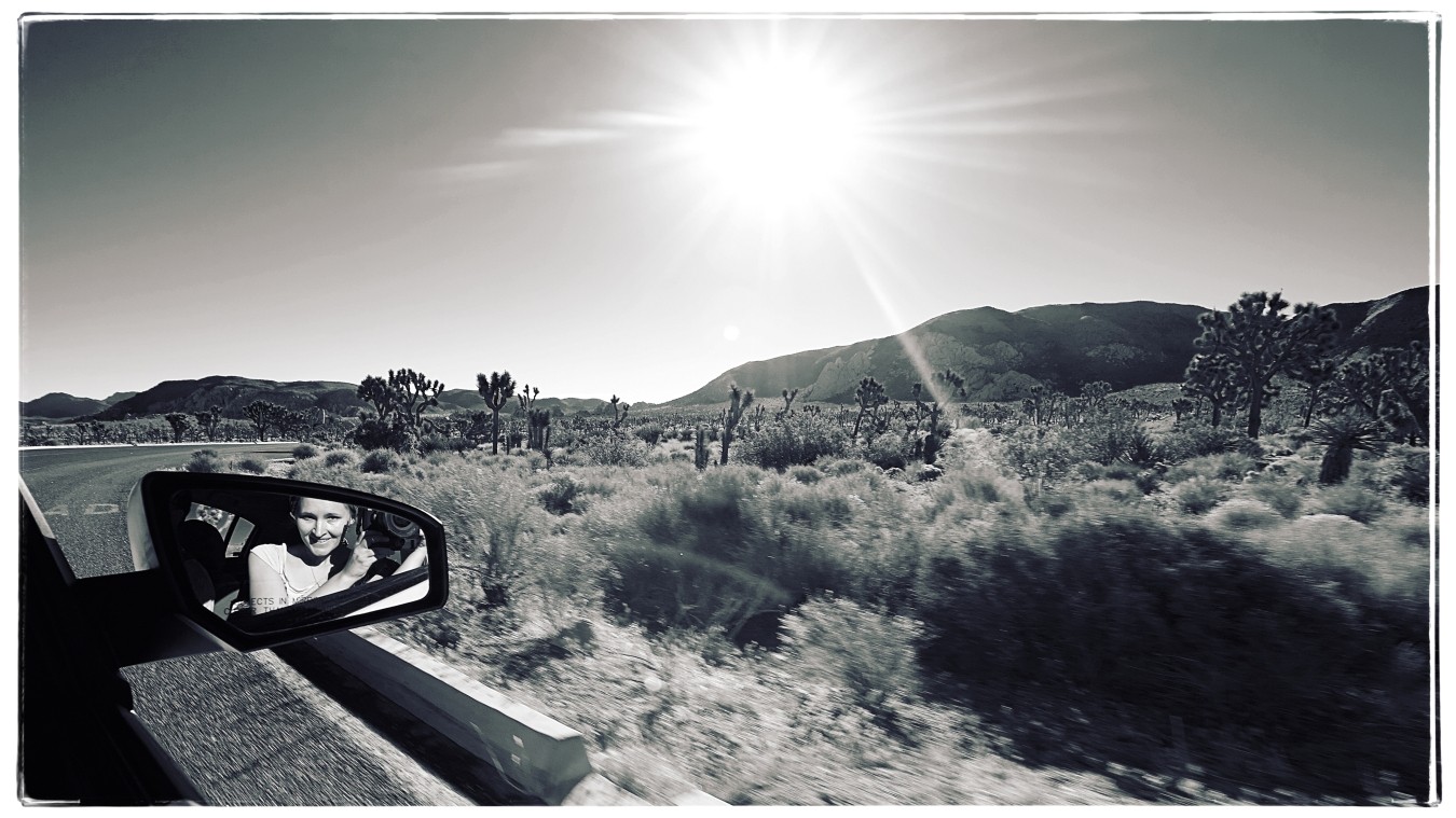 Fahrt durch den Joshua Tree Nationalpark...