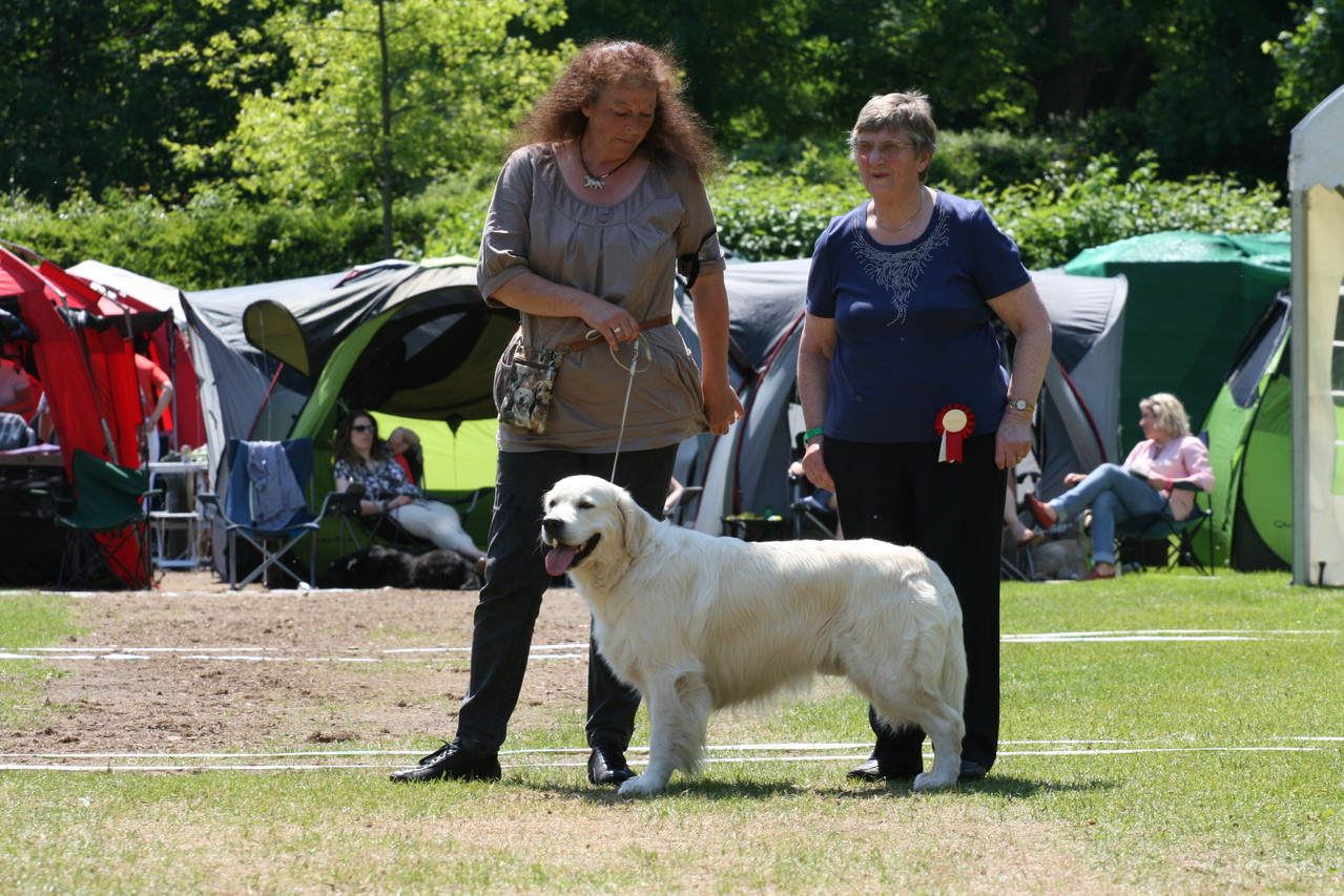 Entscheidung: Best of Breed...