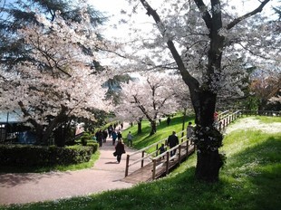 Passeggiata del Giappone 