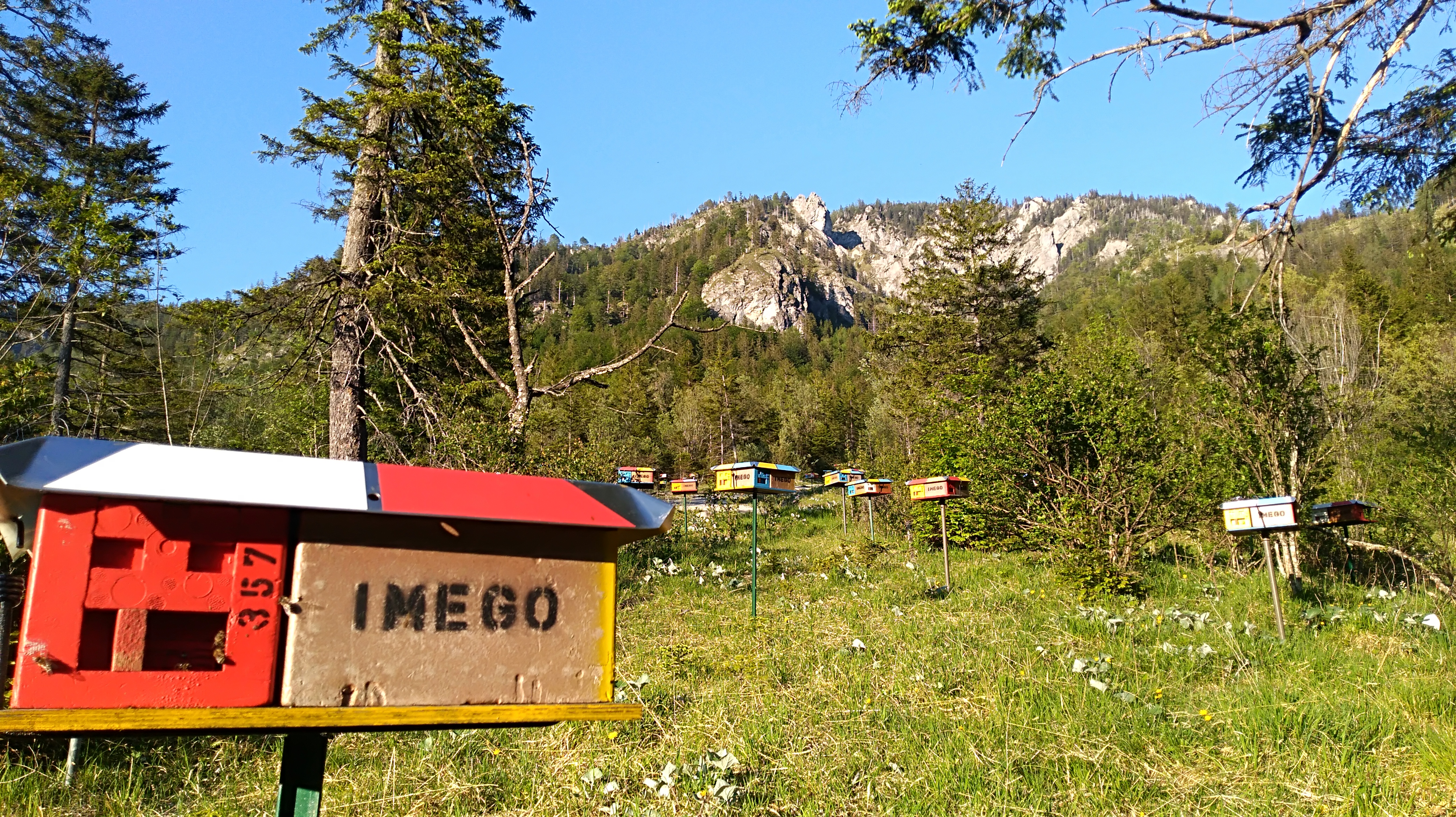 www.imego.at