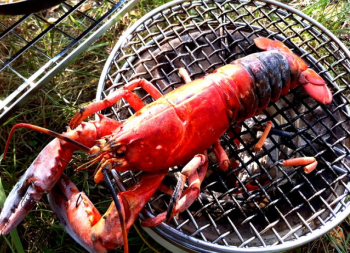 BBQ ロブスター