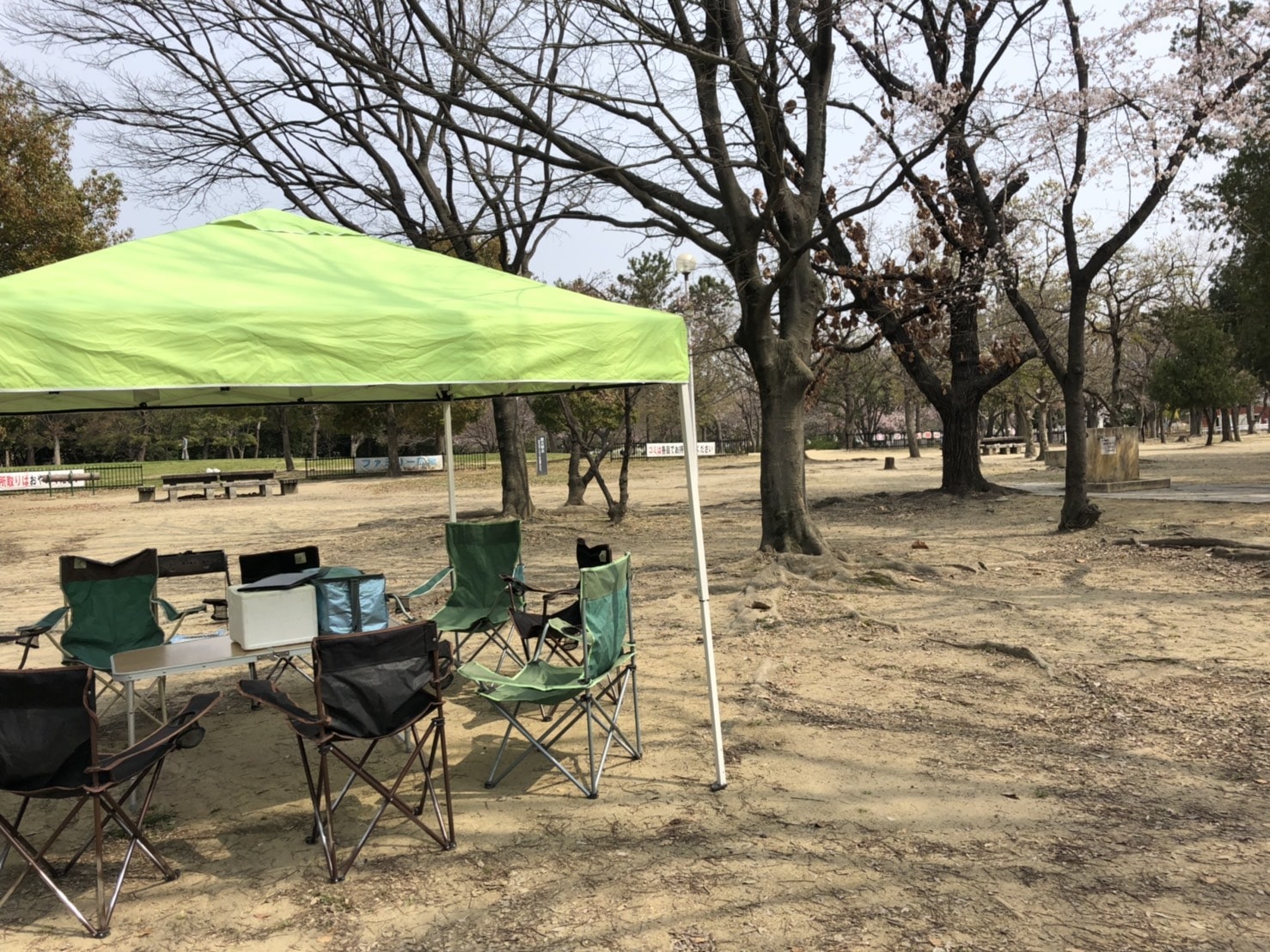 久宝寺緑地でお花見BBQ♪ 激安BBQレンタルのバーベキュービッグ