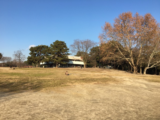 服部緑地公園の冬bbq情報 激安bbqレンタルのバーベキュービッグ
