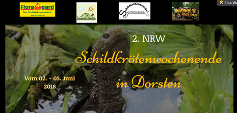 2. NRW Schildkrötenwochenende in Dorsten