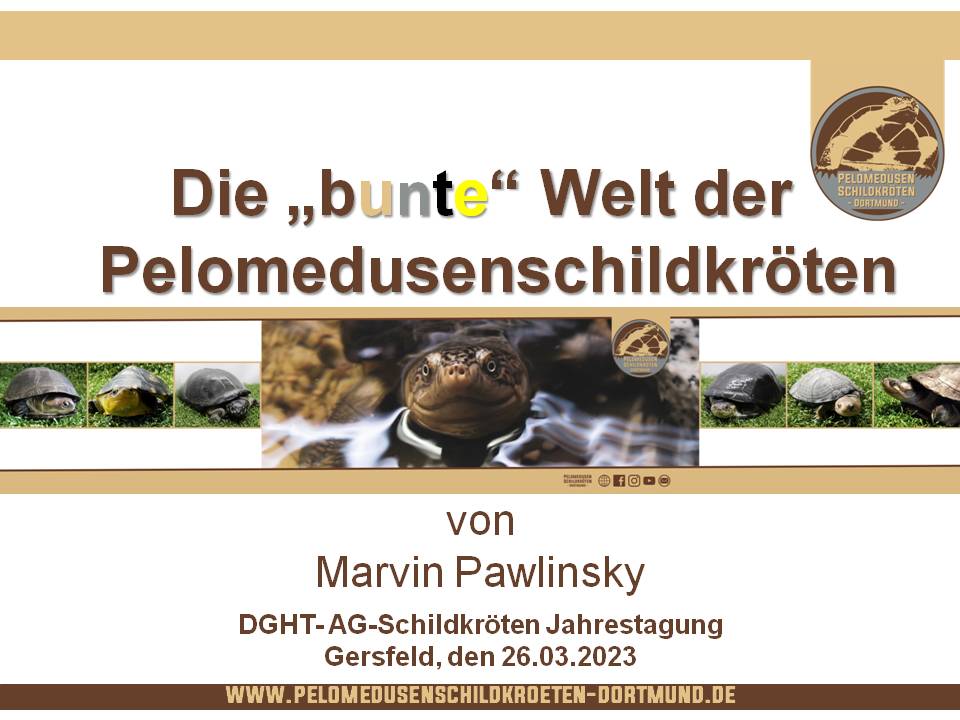 DGHT AG Schildkröten Jahrestagung 2023 in Gersfeld