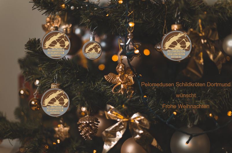 Frohe Weihnachten