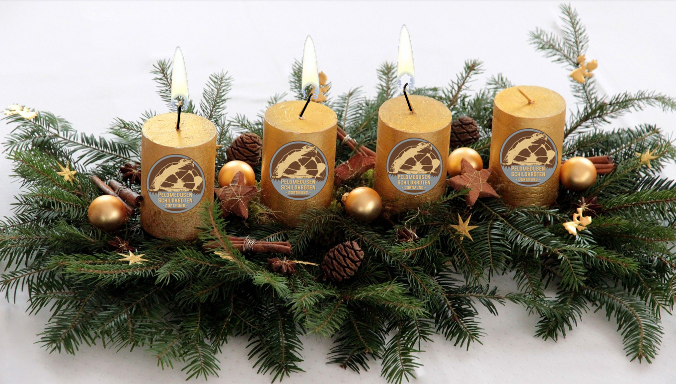 Schönen 3. Advent