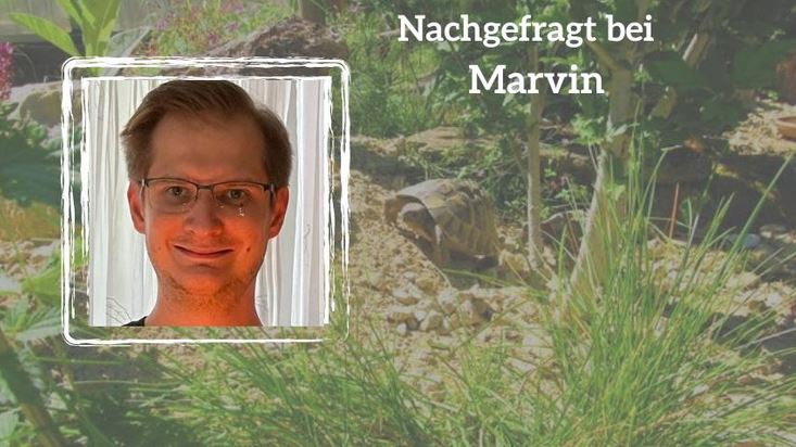 Landschildkröten im Hunsrück Blog-Reihe: Nachgefragt Teil 33