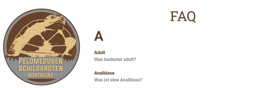 Vorstellung FAQ