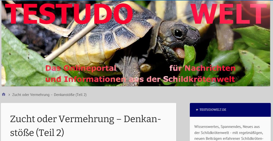 1. Blog Artikel Zucht und Vermehrung (Teil 2)