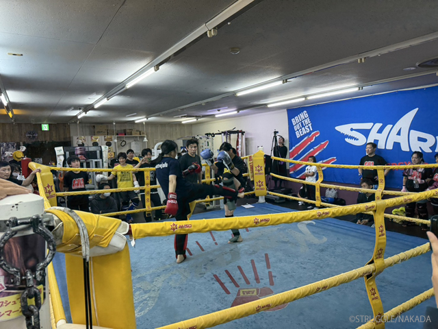 4ジム合同スパーリング大会