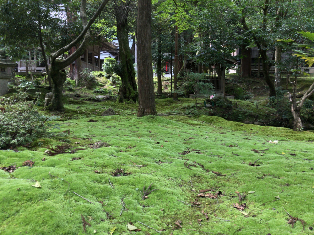 山王大宮神社