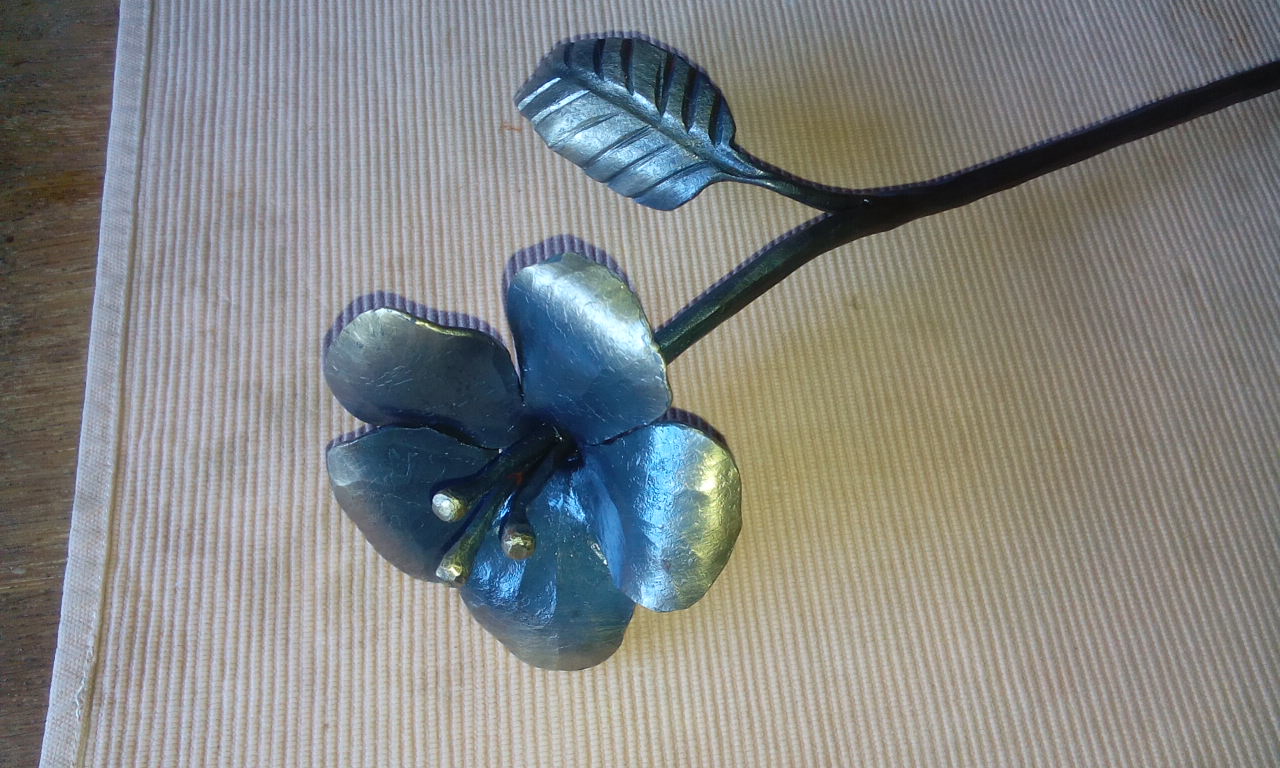 Hybiskusblüte