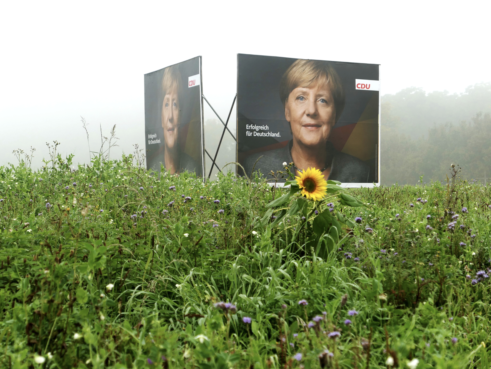 70 JAHRE MERKEL
