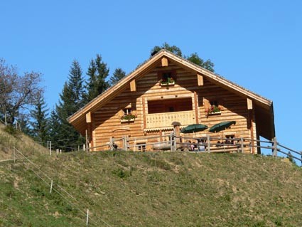 Rocheralm in Abtenau
