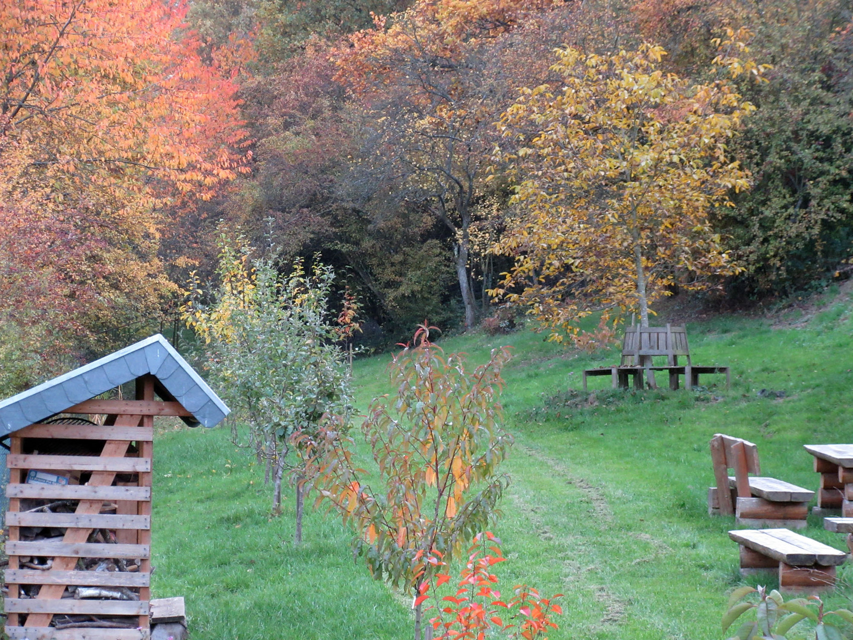 Herbstlicher Garten