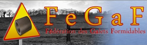 http://www.fegaf.fr/