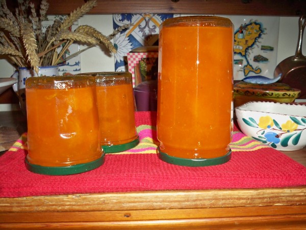 Canal Gourmandises - Confitures d'abricots de la Mère Mitraille