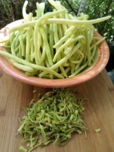 Petits haricots beurre frais