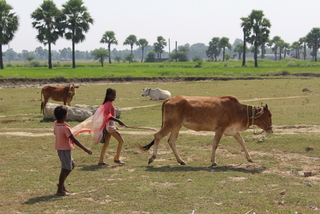 Les petits bergers du village.