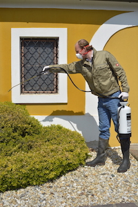 maximilian eder kammerjäger schädlingsbekämpfung derkammerjäger.at steiermark graz weiz buchsbaumzünsler eichenprozessionsspinner