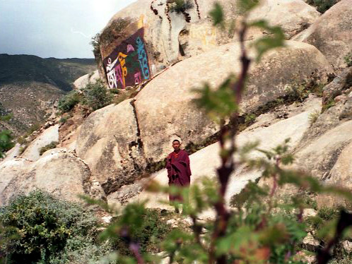 ein Lama umwandert den Koras von Drepung