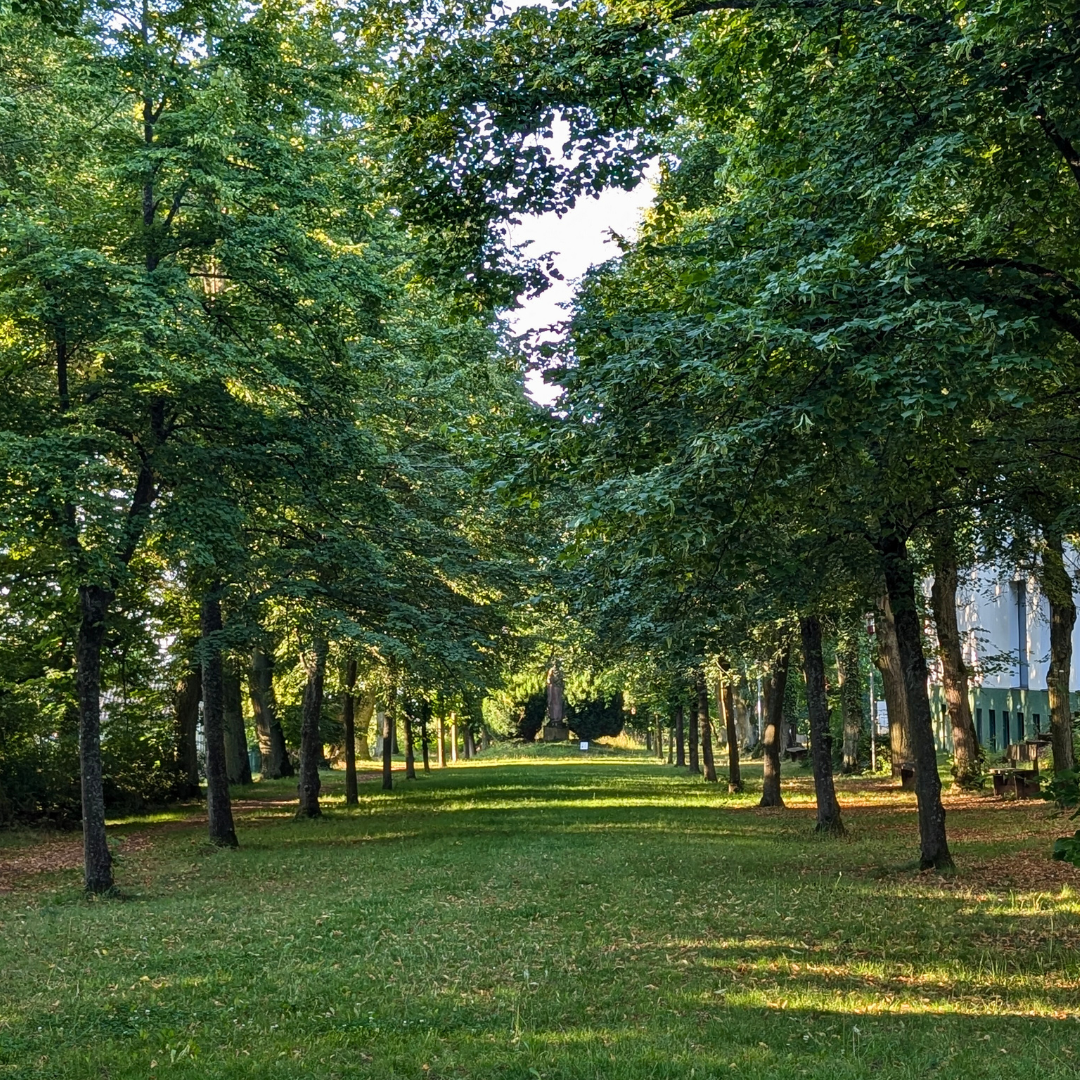 Kirchheimbolanden
