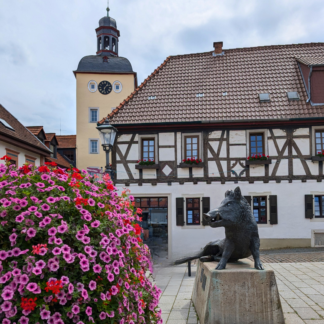 Kirchheimbolanden