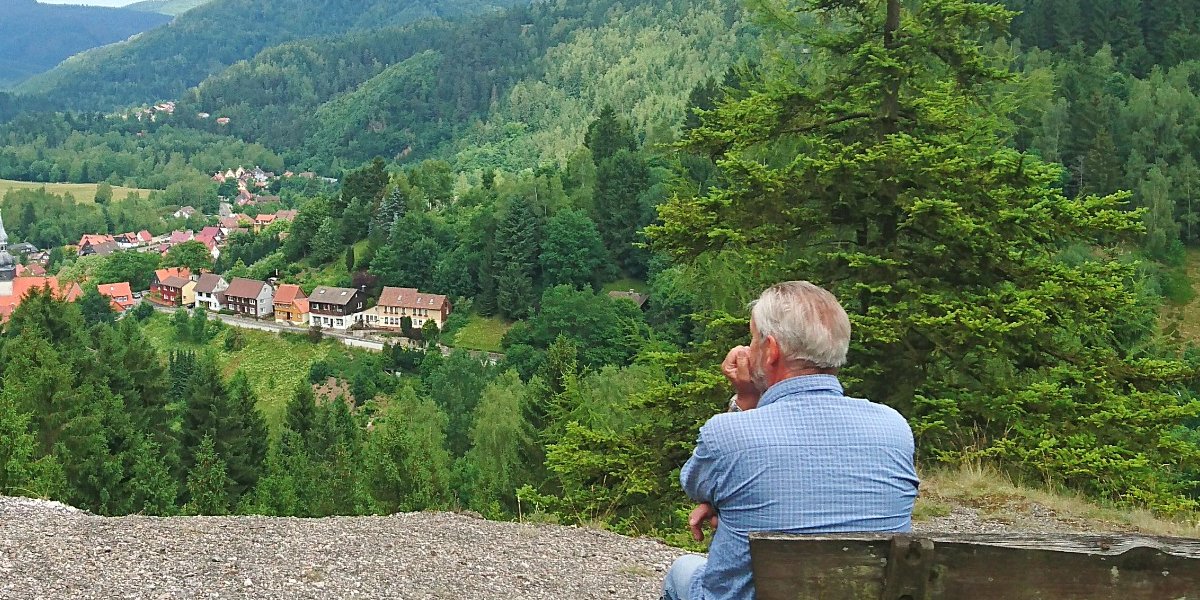 Im späten Licht der Pfalz: Ankommen im Schillerhain