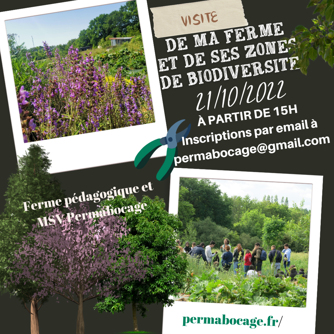 Vendredi 21 Octobre - Visite de la ferme Permabocage et de ses zones de biodiversité