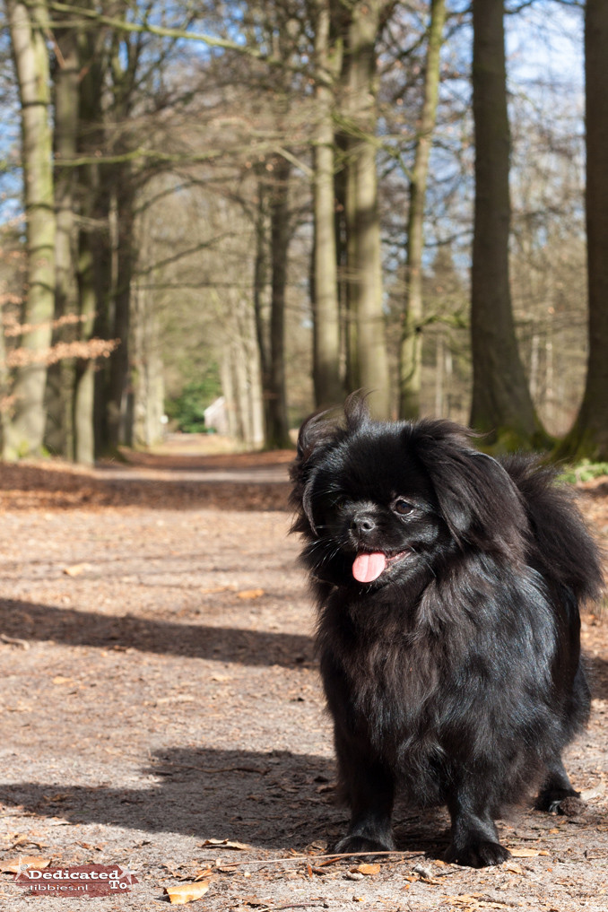 Gemma 8 maanden oud