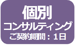 個別コンサルティング