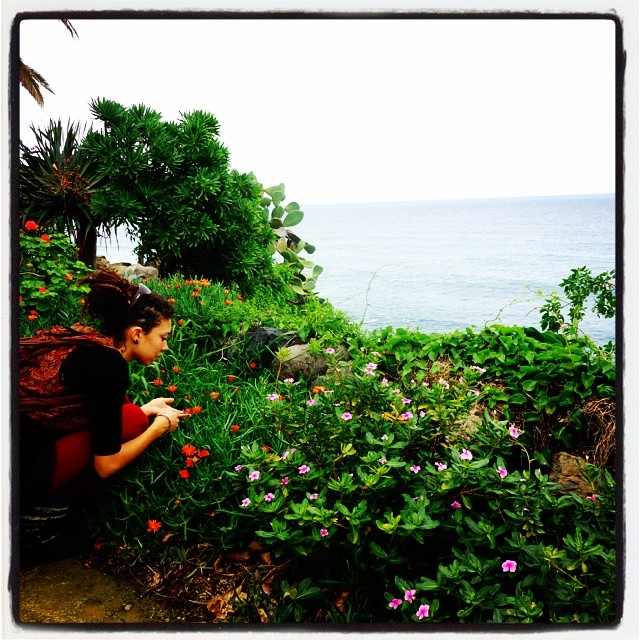 Tenerife, Iles Canaries, 2015