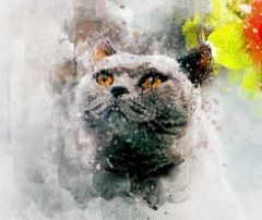 "Katzendiskussion" im Rahmen unserer Vereinstreffen