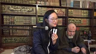 Project Illumine: Surah 73 Al Muzzammil