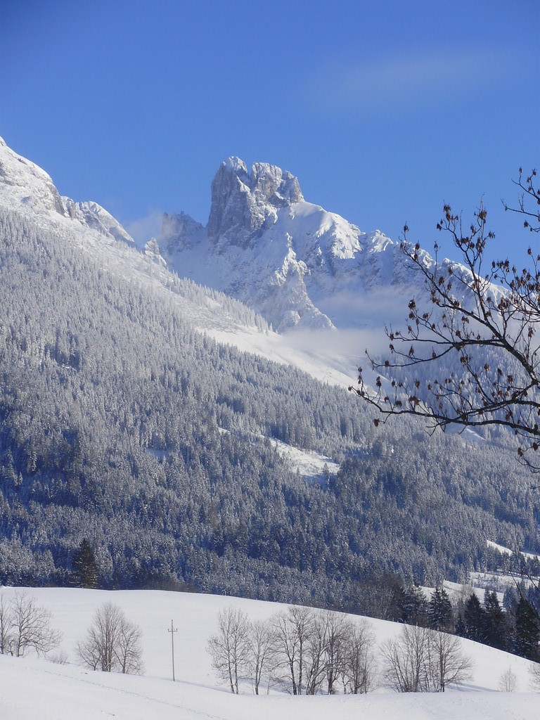 Ausblick vom Haus