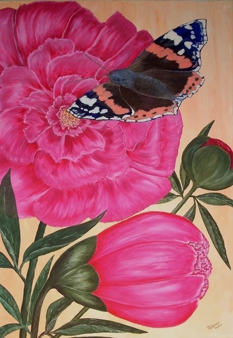 Pfingstrose mit Schmetterling  70 x 100 cm