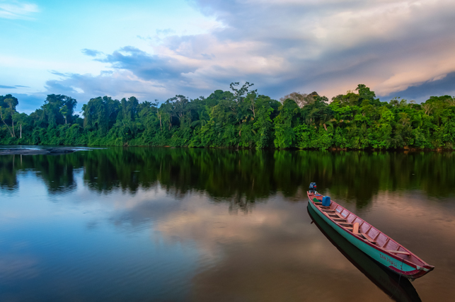 Suriname Danpaati Binnenland inland Forest
