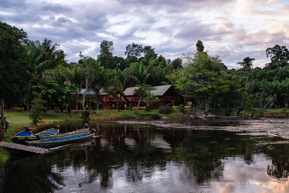 Suriname Menimi WaterscapeWaterscape