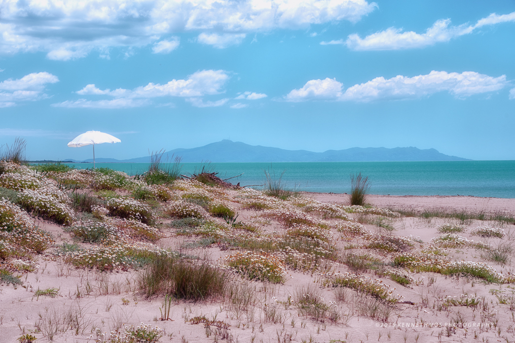 Italy Tuscany Grosseto Landscape Beach
