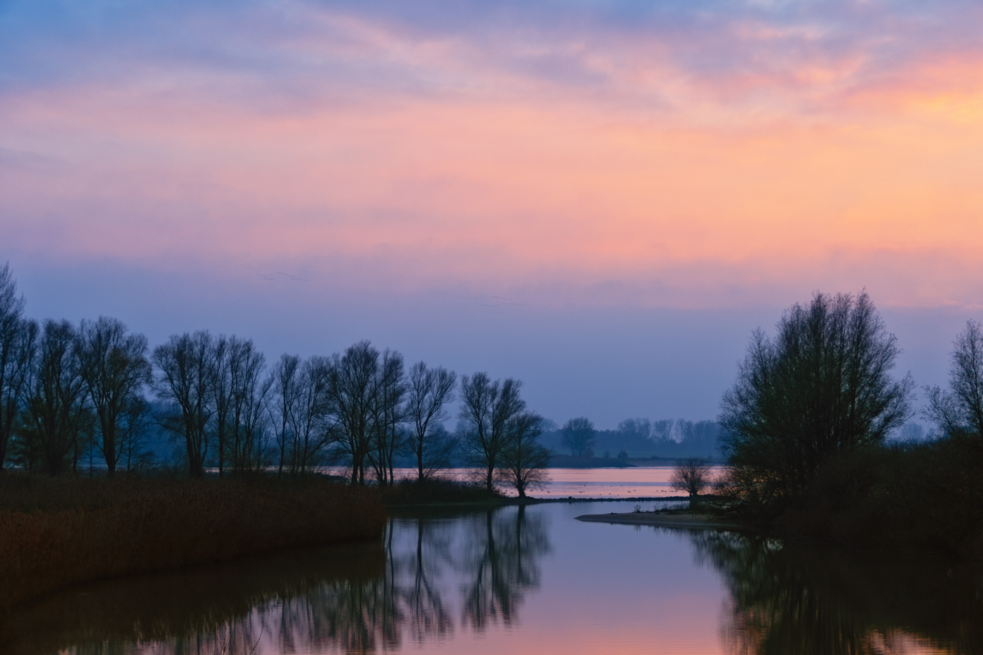 Gorinchem Merwede Waterscape Trees