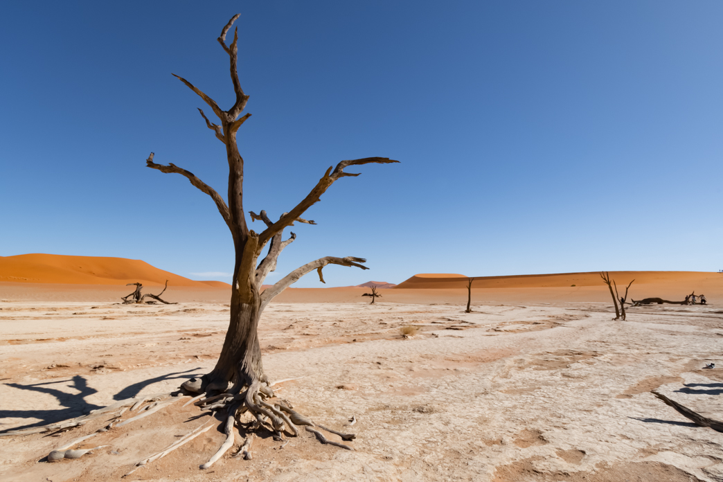 Namibia Namibië Afrika, Africa, Deadvlei