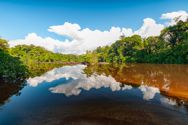 Suriname Danpaati Binnenland inland Forest