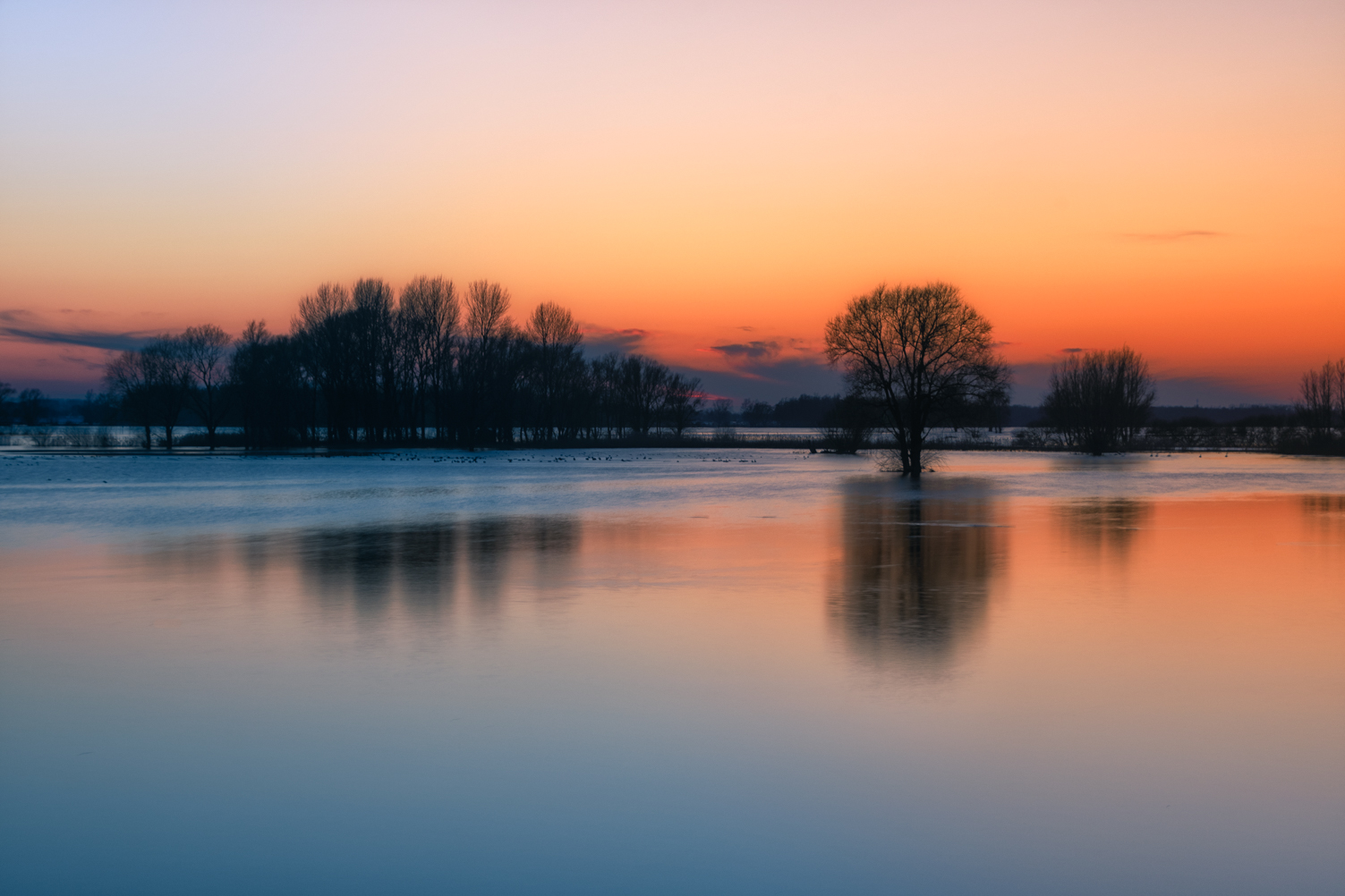 Gorinchem Merwede High Tide Winter Netherlands Waterscape Sunset Trees